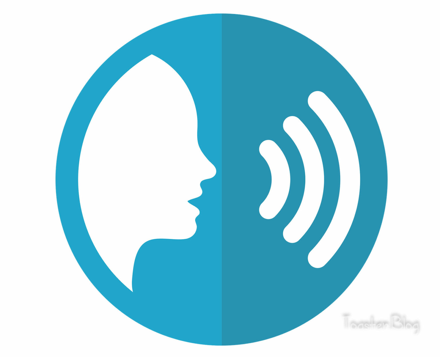 Toasters For Dummies Everything You Need to Know About Toasters